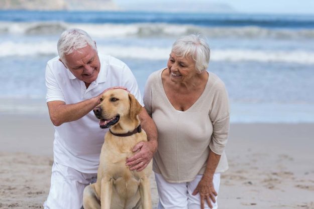 couple enjoying pet ownership as seniors