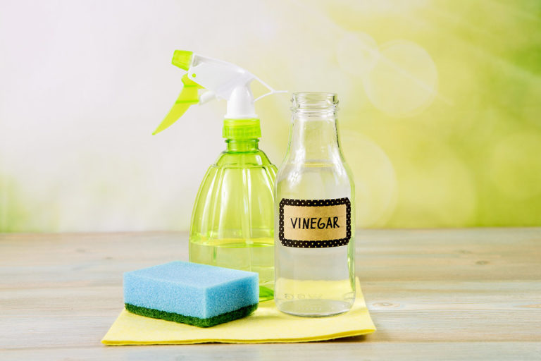 vinegar ready to be used for multiple things