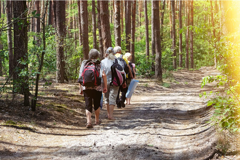 Are You Looking For Hiking Trails In Tampa?