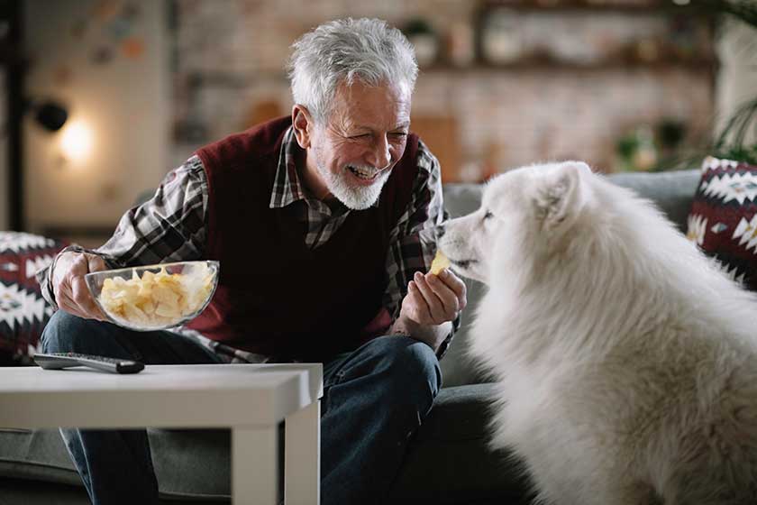 Old man with his best friend. senior man in living room with his dog