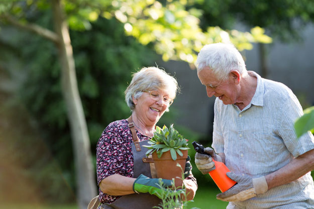 A Guide To Gardening For Seniors A Guide To Gardening For Seniors