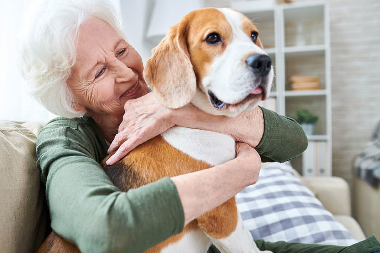 Advantages Of Pet-Friendly Assisted Living Communities