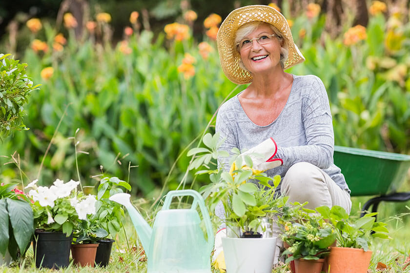 Why Gardening Is Good For Seniors' Health - Discovery Village