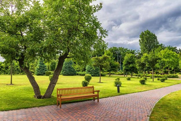 Beautiful Parks Seniors Can Visit In Naples