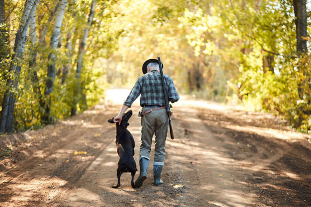 A Guide To Planning Activities For Seniors