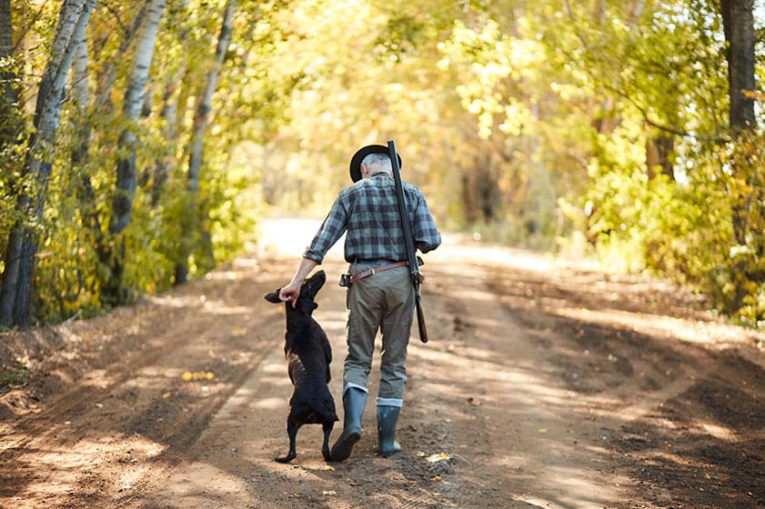 A Guide To Planning Activities For Seniors