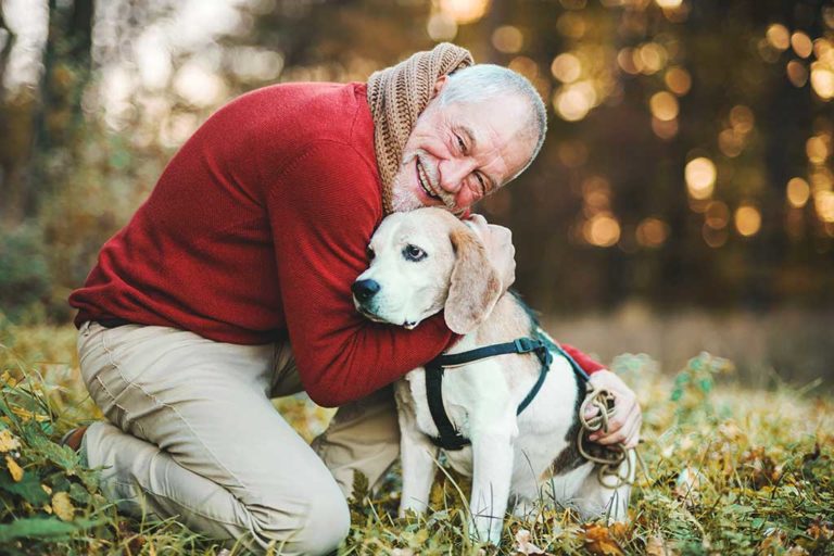 A senior man with a dog in an autumn nature at sunset. A senior man with a dog in an autumn nature at sunset.