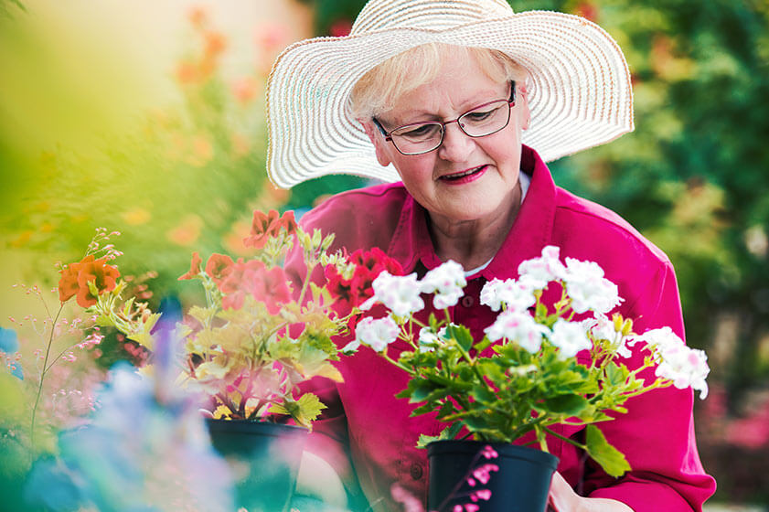 Gardening And Its Benefits For Seniors