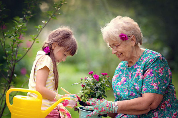 How Gardening Promotes Stress Relief And Relaxation In Older Adults How Gardening Promotes Stress Relief And Relaxation In Older Adults