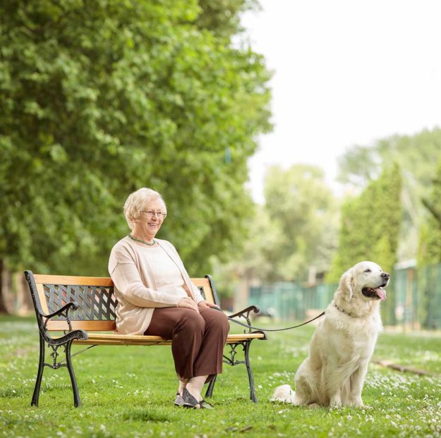 Mature woman with dog sitting on bench in the park Mature woman with a dog sitting on a wooden bench in the park