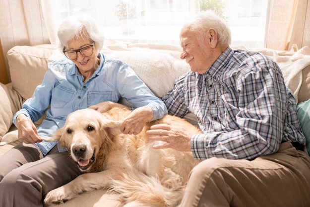 Happy Senior Couple with Dog Portrait of happy senior couple with dog sitting on couch enjoying family weekend at home in retirement