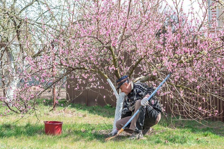 Spring Cleaning Tips for Seniors