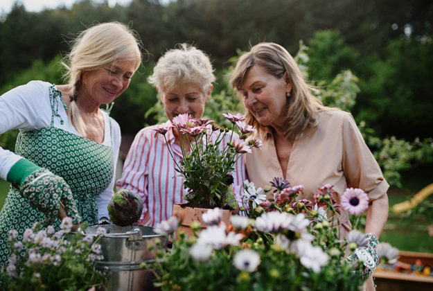 Try These Spring Activity Ideas For Seniors Try These Spring Activity Ideas For Seniors