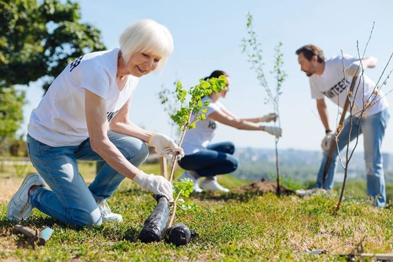 Volunteering For Better Health: Seniors' Edition