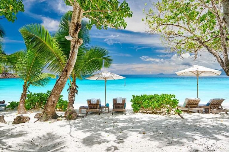 What Are The Most Relaxing Spots In Tampa?