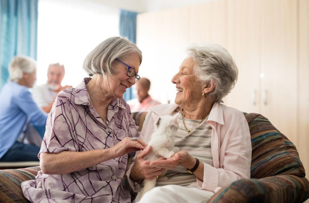 What To Expect When Touring The Stylish Senior Living Community In Fort Myers, FL What To Expect When Touring The Stylish Senior Living Community In Fort Myers, FL