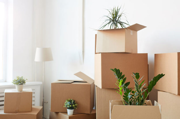 A Senior's Guide To Downsizing