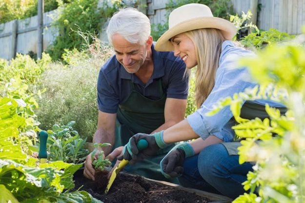 Physical & Mental Benefits Of Gardening For Seniors