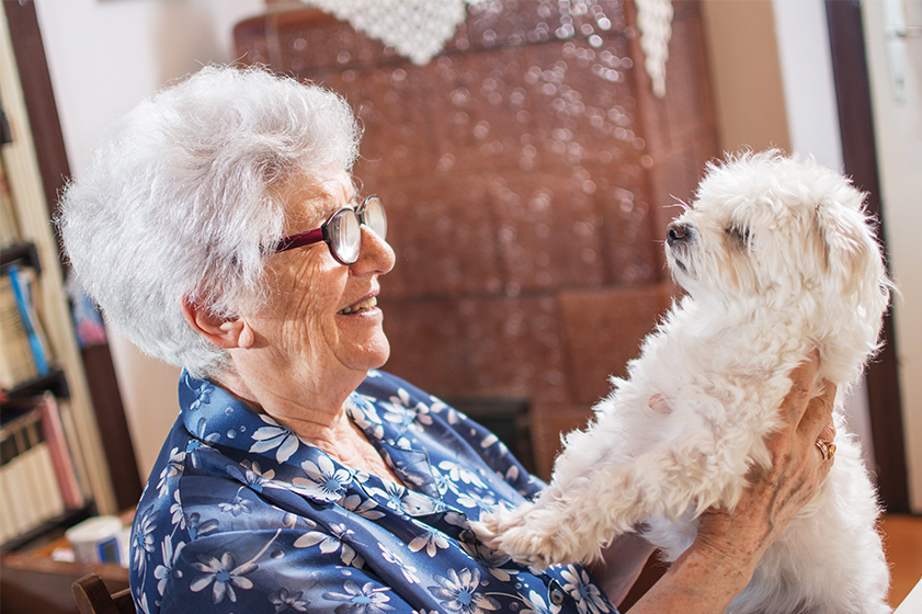 How Do Pets Positively Impact Assisted Living In Tampa?