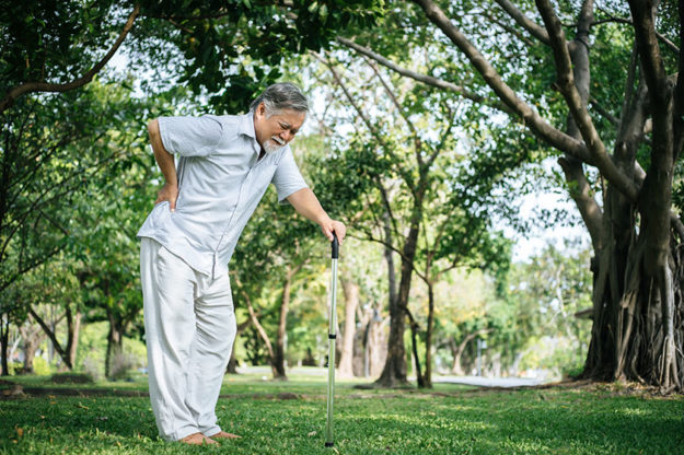 Sarcopenia In Seniors: Symptoms & Prevention Tips Sarcopenia In Seniors: Symptoms & Prevention Tips