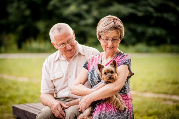 Senior couple with dog Smiling happy senior couple with their dog pet outdoor in nature