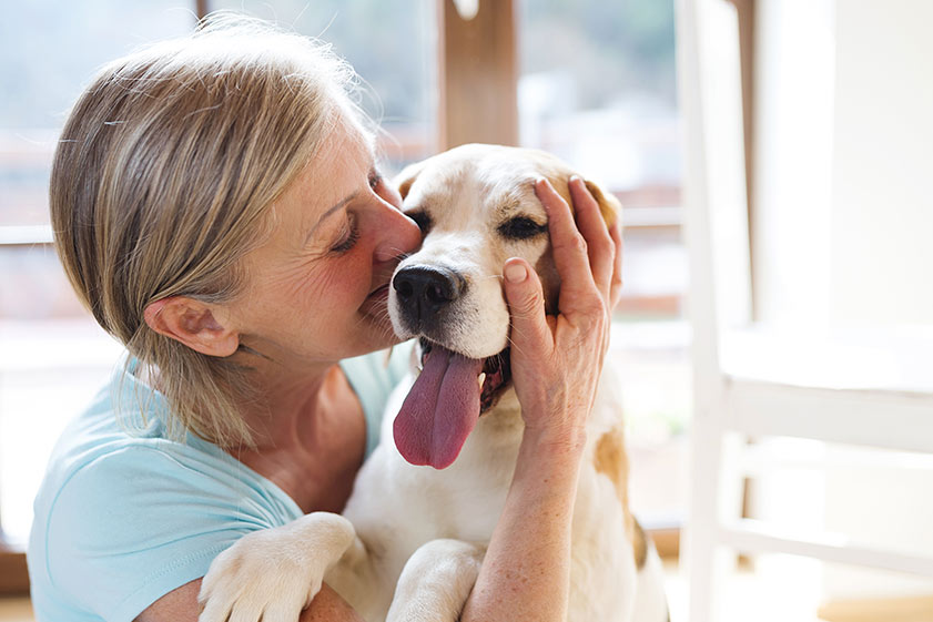 Understanding Pet Therapy And Its Benefits for Seniors Understanding Pet Therapy And Its Benefits for Seniors