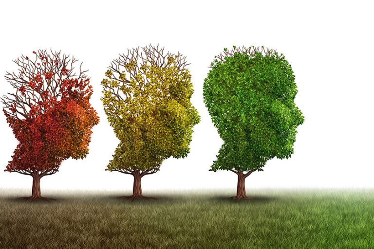 7 Types Of Dementia Behaviors 7 Types Of Dementia Behaviors