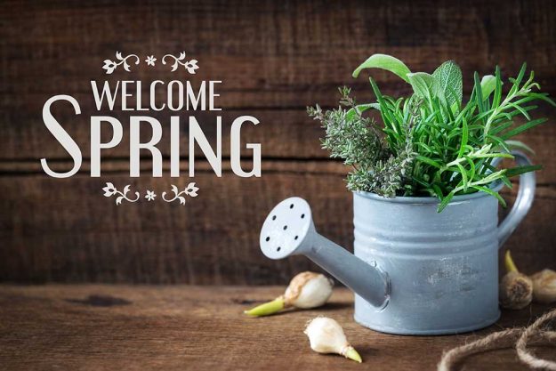 Welcome Spring message – Springtime gardening concept with sprin Spring Gardening: An Essential Guide