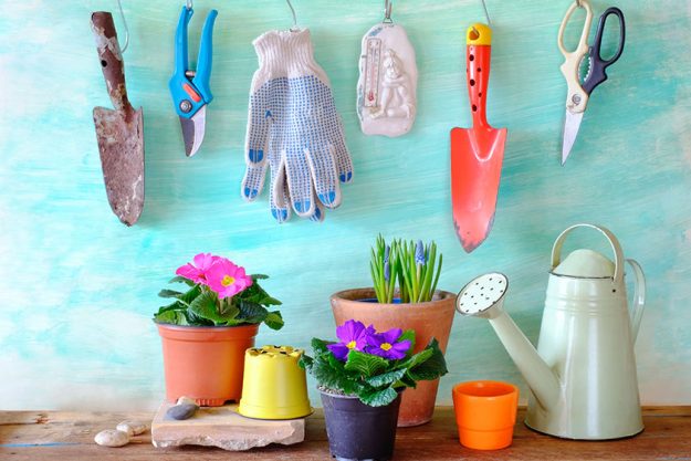 When To Start Your Spring Gardening Project When To Start Your Spring Gardening Project