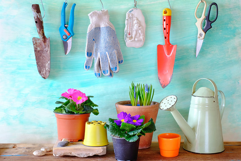 When To Start Your Spring Gardening Project