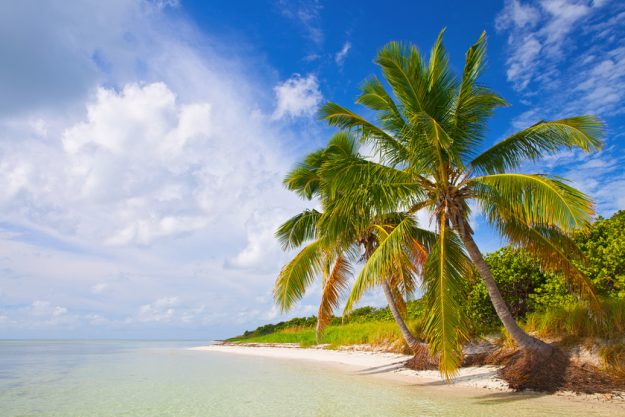 Summer at a tropical paradise in Florida Keys, USA Summer at a tropical paradise in Florida Keys, USA