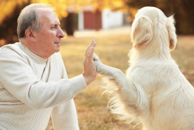 top-benefits-seniors-will-reap-from-owning-a-pet-img.jpg