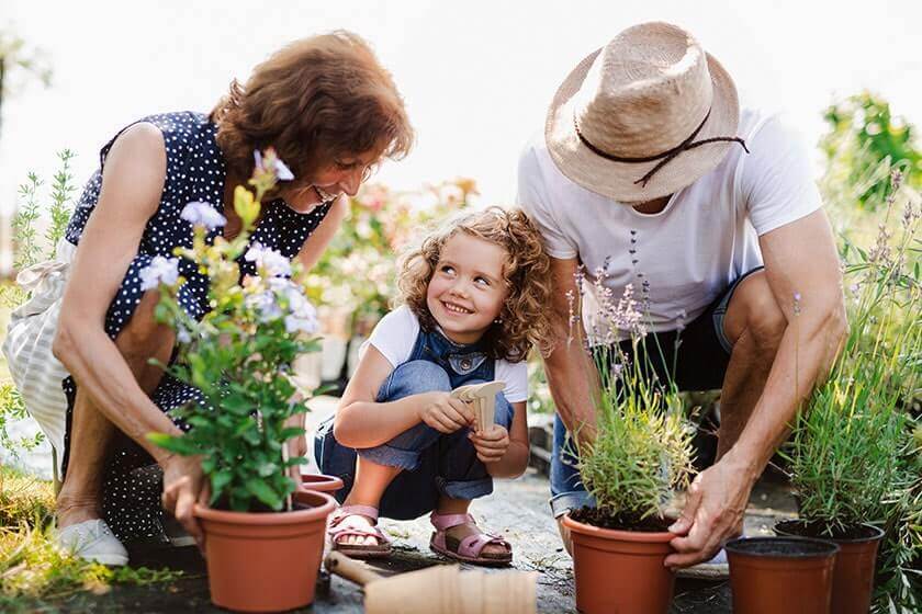 Four Productive Activities You Should Try In Retirement Four Productive Activities You Should Try In Retirement