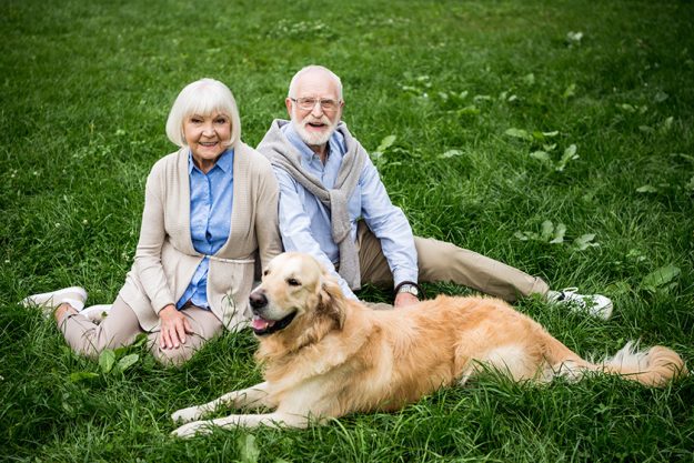 happy senior couple with adorable golden retriever dog sitting on green lawn happy senior couple with adorable golden retriever dog sitting on green lawn
