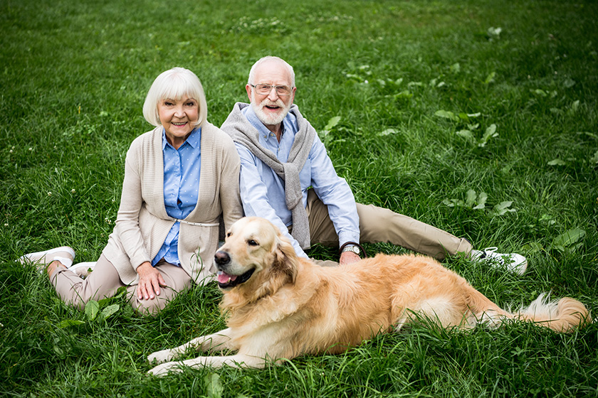 What To Consider When Bringing A Pet To Assisted Living - Discovery Village