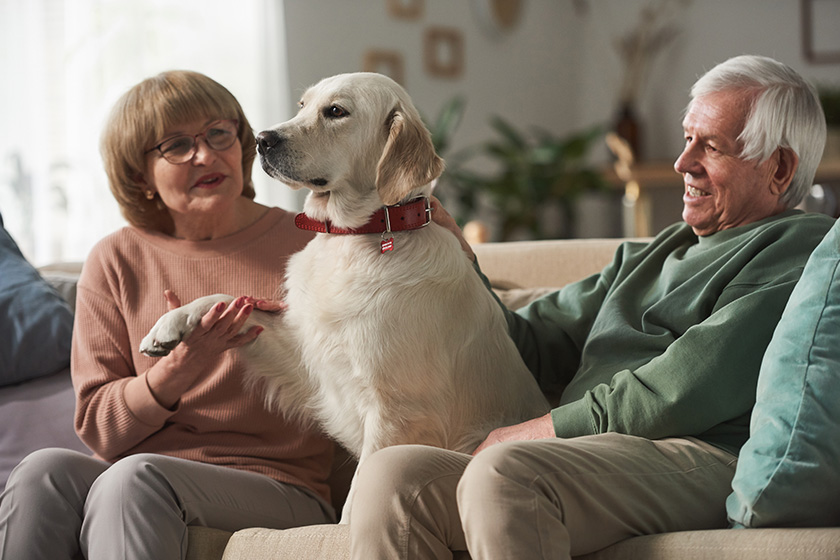 Senior couple sitting on sofa and playing with their cute dog in the living room