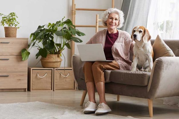 modern senior woman using laptop while sitting with dog on sofa modern senior woman using laptop while sitting with dog on sofa