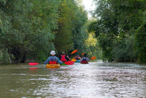 Group of friends (people) travel by kayaks