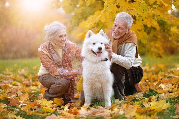 portrait of beautiful caucasian senior couple with dog portrait of beautiful caucasian senior couple with dog