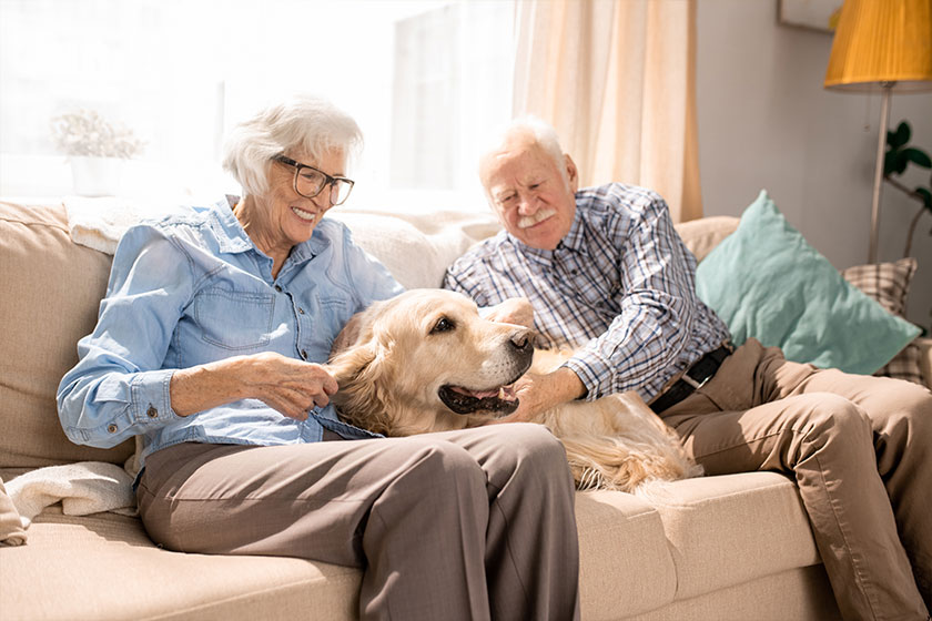 Portrait of happy senior couple with dog sitting on couch