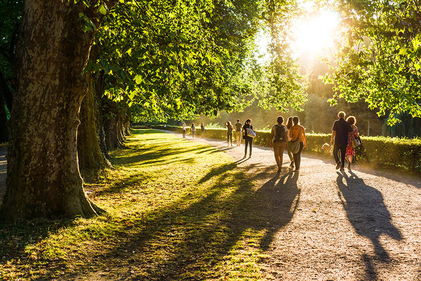 Spaziergänger im Park in der Abendsonne