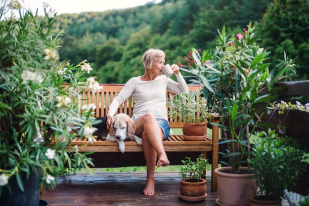 A senior woman with a dog and coffee sitting outdoors on a terrace in summer. A senior woman with a dog and coffee sitting outdoors on a terrace in summer.