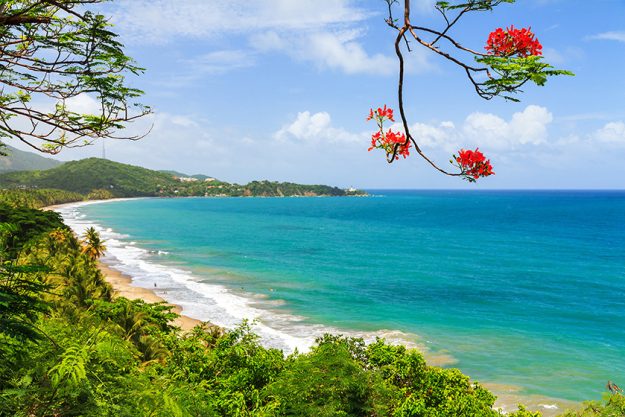 Beautiful tropical summer view of Puerto Rico with red flowers and a white beach