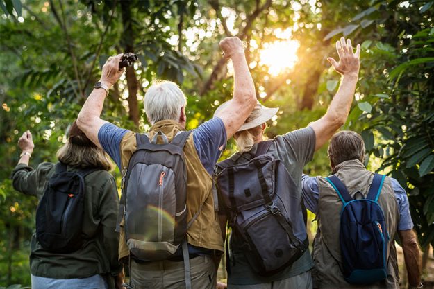 Group of senior adults trekking in the forest Group of senior adults trekking in the forest