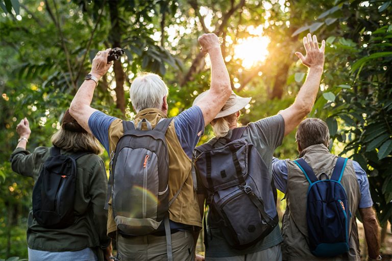 Group of senior adults trekking in the forest Group of senior adults trekking in the forest