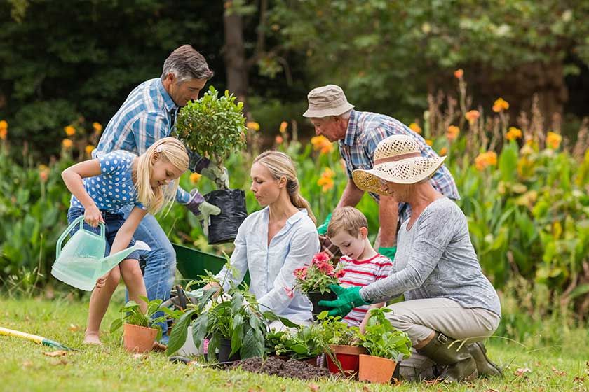 Happy family gardening Happy family gardening