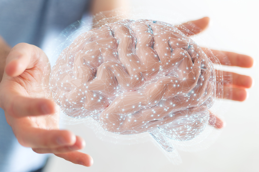 Businessman using digital 3D projection of a human brain 3D rend Businessman using digital 3D projection of a human brain 3D rend