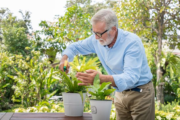 7 Garden Activities For Your Loved One With Dementia 7 Garden Activities For Your Loved One With Dementia
