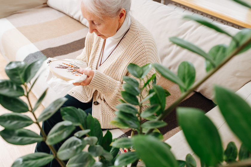Keen granny sitting on a couch at home, looking closely at embroidering loop Keen granny sitting on a couch at home, looking closely at embroidering loop