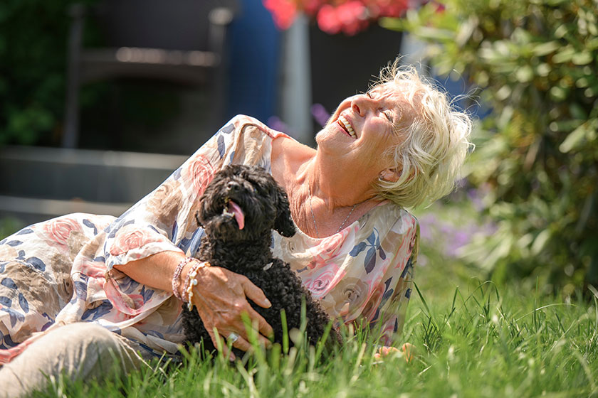 Senior Woman with Pet Dog outside in nature with poodle Senior Woman with Pet Dog outside in nature with poodle